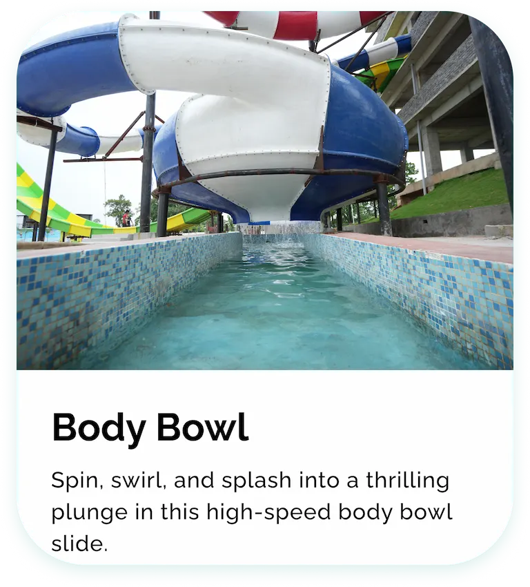 body bowl