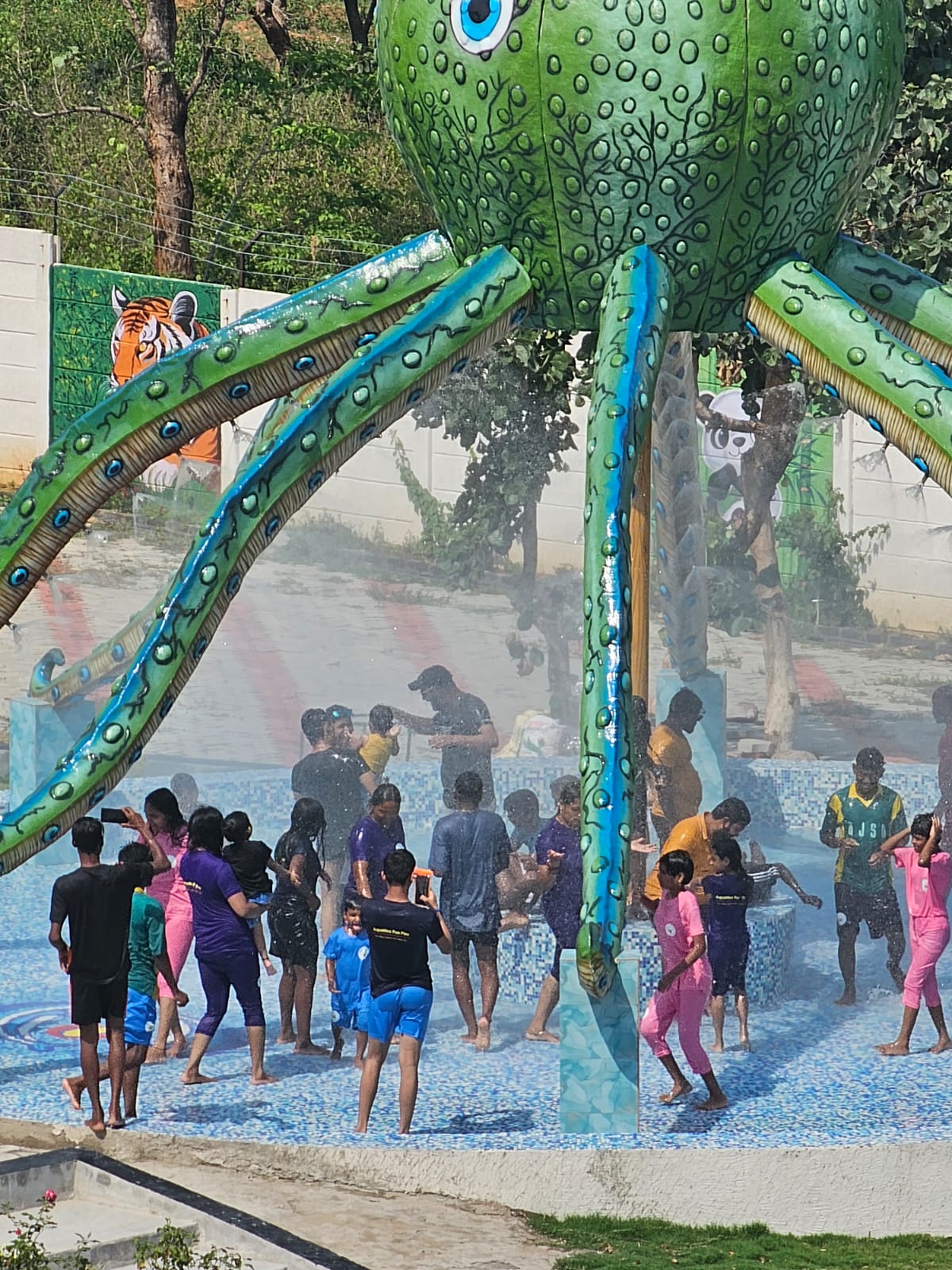 Octupus Rain Dance Area